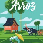 Campos de Arroz